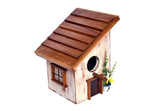 The Weaver's Nest Hand Crafted Solid Wood Bird House with Teak Roof