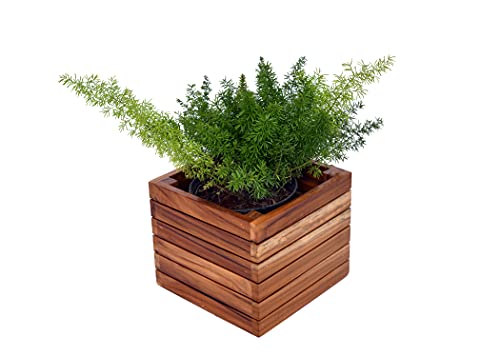 The Weaver's Nest Wooden Planter Box/Plant Stand, Flower Pot Holder for Home, Restaurants, Hotels, Garden, Balcony, Patio