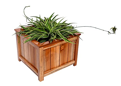 The Weaver's Nest Wooden Planter Box/Plant Stand for Home, Restaurants, Hotels, Garden, Balcony, Patio (L 34 x W 34 x H 27 cm)