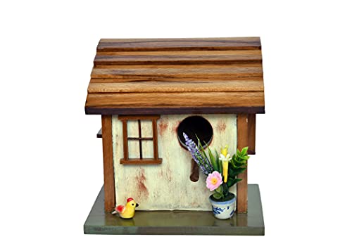 The Weaver's Nest Hand Crafted Solid Wood Bird House with Teak Roof for Birds