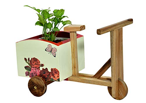 The Weavers nest Cycle Shaped Wooden Planter and Table Organizer (Size: 26 x 19 x 15 cm)