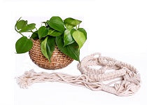 The Weaver's Nest Handmade Natural Cane Planter with macrame hanging for Home, Offices, Restaurants, Garden, Cafe, Balcony, Living Room