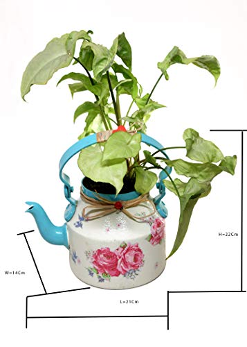 Copy of Beautifully Hand Crafted Kettle Planter 'Blue' -The Weaver's Nest