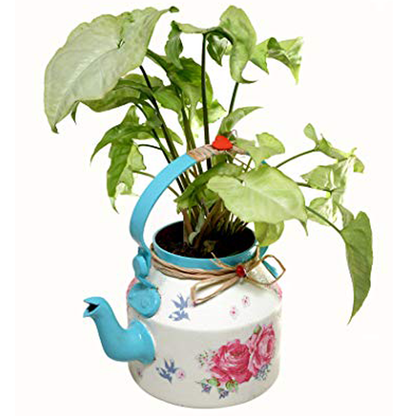 The Weaver's Nest Beautifully Hand Crafted Kettle Planter