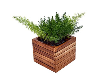 The Weaver's Nest Wooden Planter Box/Plant Stand, Flower Pot Holder for Home, Restaurants, Hotels, Garden, Balcony, Patio