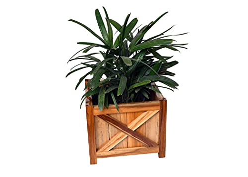 19+ Planter On Wooden Stand