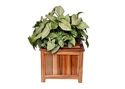 The Weaver's Nest Wooden Planter Box for Garden, Balcony, Home, Living Room- SET OF TWO