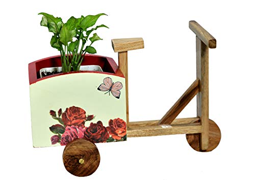The Weavers nest Cycle Shaped Wooden Planter and Table Organizer (Size: 26 x 19 x 15 cm)