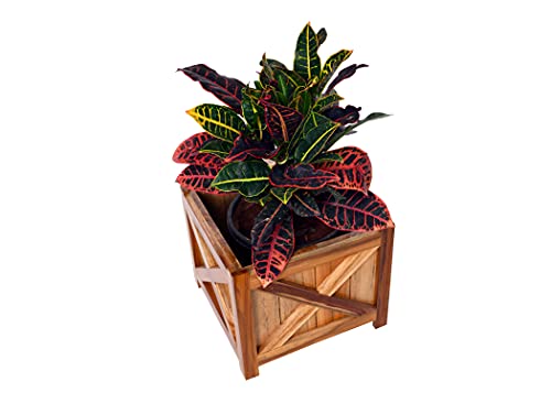 The Weaver's Nest Wooden Planter Box/Plant Stand, Flower Pot Holder for Home, Restaurants, Hotels, Garden, Balcony, Patio (Brown, L 28 x W 28 x H 24 cm)