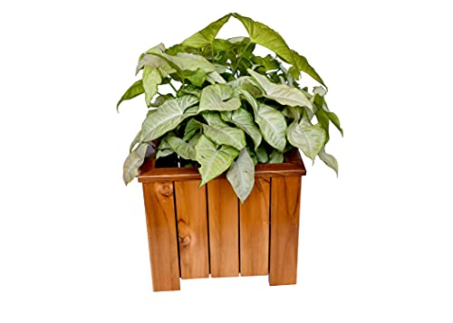 The Weaver's Nest Wooden Planter Box, Flower Pot Holder for Home, Restaurants, Hotels, Garden, Balcony, Patio