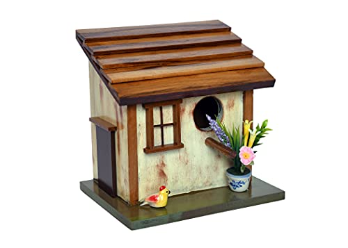 The Weaver's Nest Hand Crafted Solid Wood Bird House with Teak Roof for Birds