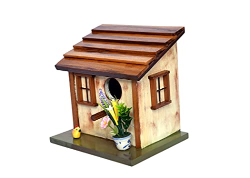 The Weaver's Nest Hand Crafted Solid Wood Bird House with Teak Roof for Birds