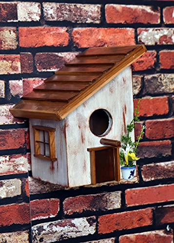 The Weaver's Nest Hand Crafted Solid Wood Bird House with Teak Roof
