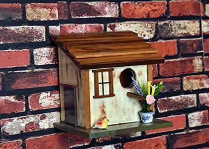 The Weaver's Nest Hand Crafted Solid Wood Bird House with Teak Roof for Birds