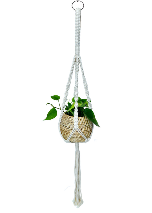 The Weaver's Nest Handmade Natural Cane Planter with macrame hanging for Home, Offices, Restaurants, Garden, Cafe, Balcony, Living Room