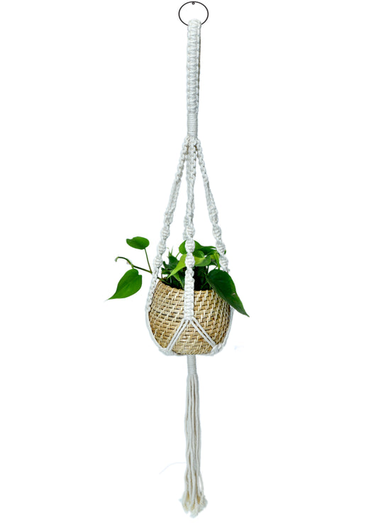 The Weaver's Nest Handmade Natural Cane Planter with Macramé for Home, Offices, Restaurants, Garden, Cafe, Balcony, Living Room