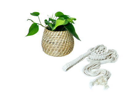 The Weaver's Nest Handmade Natural Cane Planter with Macramé for Home, Offices, Restaurants, Garden, Cafe, Balcony, Living Room