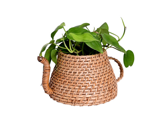 The Weaver's Nest Handmade Natural Cane Kettle Planter for Home, Table Tops, Offices, Restaurants, Garden, Cafe, Balcony, Living Room