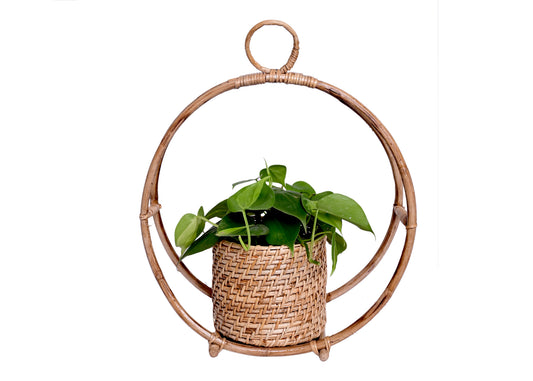 The Weaver's Nest Handmade Natural Cane Planter for Home, Offices, Restaurants, Garden, Cafe, Balcony, Living Room (Brown, 35 X 15 X 42 cm)