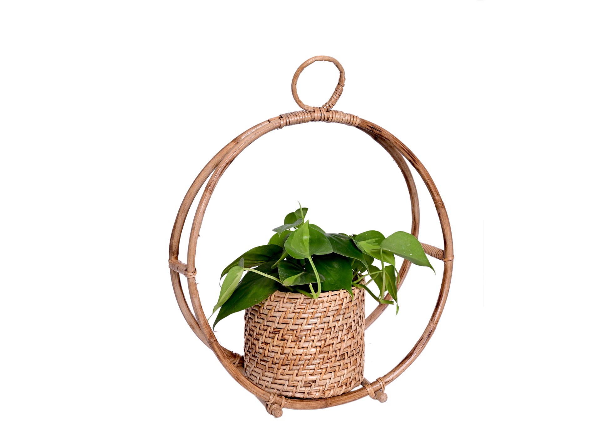 hanging cane planter The Weaver's Nest Handmade Natural Cane Planter for Home, Offices, Res – The Weavers Nest
