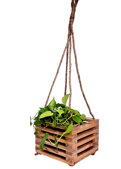 The Weaver's Nest  Wooden Hanging Planter for Home, Offices, Restaurants, Garden, Cafe, Balcony, Living Room