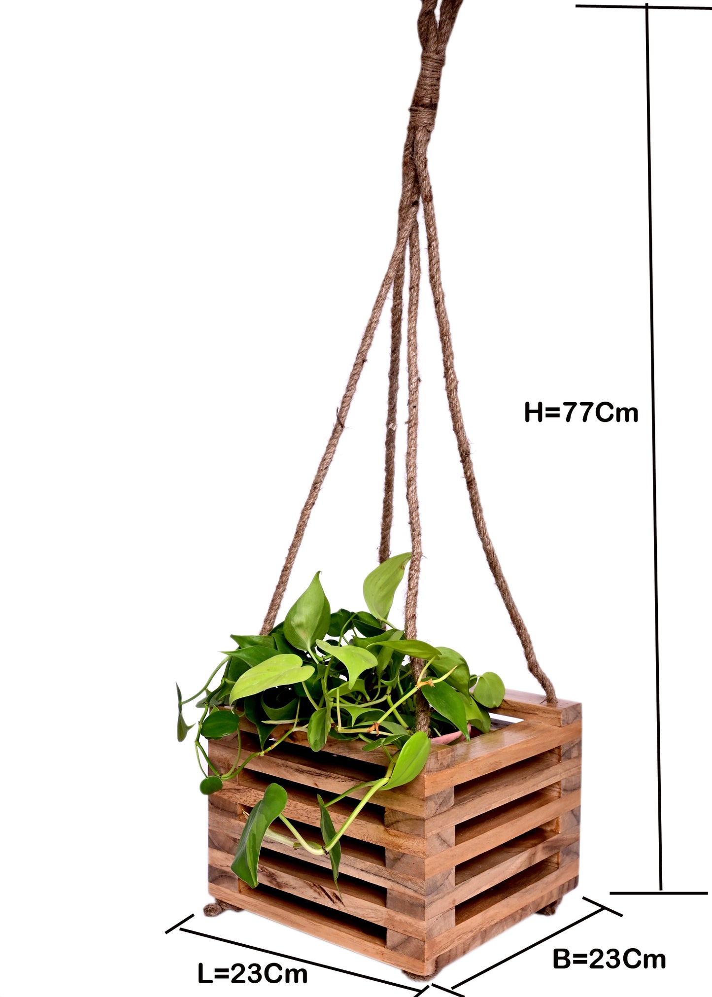 The Weaver's Nest  Wooden Hanging Planter for Home, Offices, Restaurants, Garden, Cafe, Balcony, Living Room