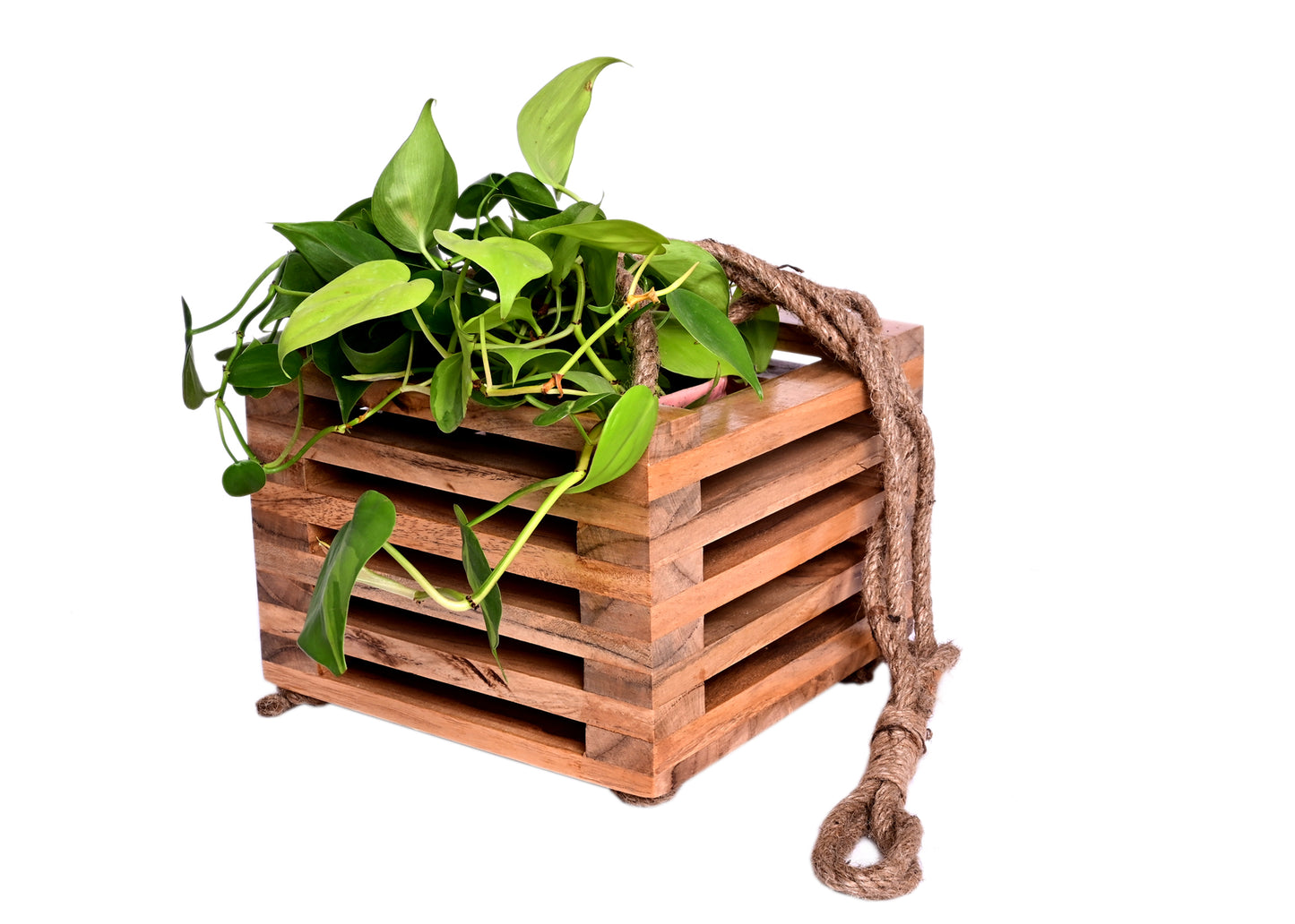 The Weaver's Nest  Wooden Hanging Planter for Home, Offices, Restaurants, Garden, Cafe, Balcony, Living Room